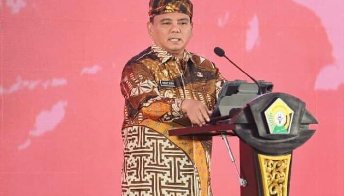 Pj Gubernur Sultra Ingatkan Masyarakat Agar Waspada DBD di Musim Penghujan