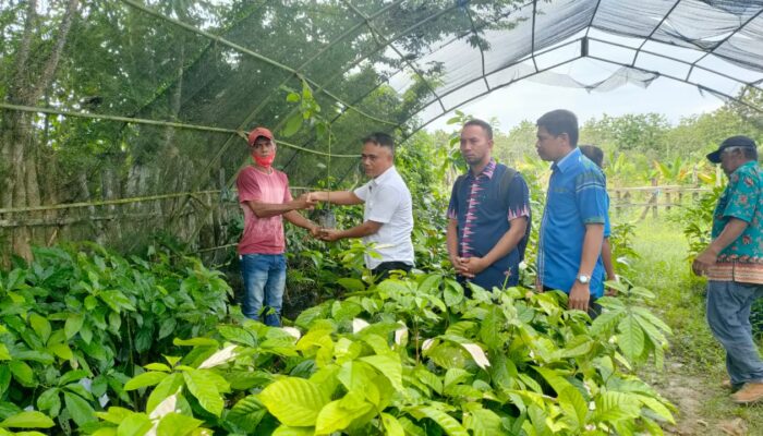 Orientasi Budidaya Durian di Mubar Mulai Melirik Pasar Komersial