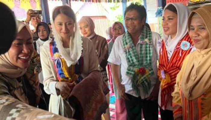 Wakil Menteri Perdagangan Kagum dengan Tenun Muna Barat, Siap Dorong Ekspor