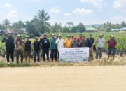 Socfindo Medan Berkunjung ke Penangkaran Sawit CV Altaf General Pacific di Konawe Selatan