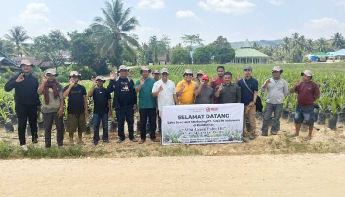 Socfindo Medan Berkunjung ke Penangkaran Sawit CV Altaf General Pacific di Konawe Selatan