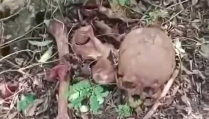 Kerangka Manusia Ditemukan di Kebun, Diduga Kuat Jenazah ODGJ yang Hilang Sejak Januari