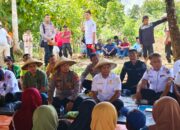 Ketahanan Pangan Muna Barat: Pilar Utama Suksesnya Program Unggulan Liwu Mokesa