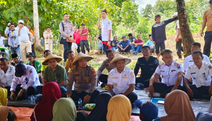 Ketahanan Pangan Muna Barat: Pilar Utama Suksesnya Program Unggulan Liwu Mokesa