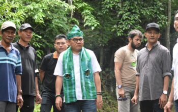 Cagar Alam Tampo Dijarah, Jaelani Desak Kemenhut Perketat Pengawasan Hutan di Sultra