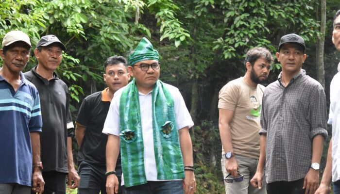 Cagar Alam Tampo Dijarah, Jaelani Desak Kemenhut Perketat Pengawasan Hutan di Sultra