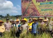 Hadiri Panen Raya Lakabu, Bupati Mubar Janjikan Perbaikan Irigasi dan Penyaluran Pupuk Organik untuk Petani