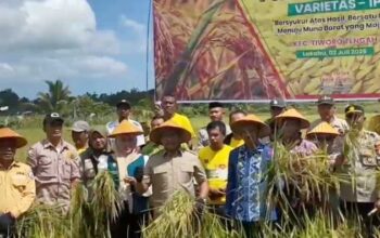 Hadiri Panen Raya Lakabu, Bupati Mubar Janjikan Perbaikan Irigasi dan Penyaluran Pupuk Organik untuk Petani