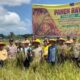 Hadiri Panen Raya Lakabu, Bupati Mubar Janjikan Perbaikan Irigasi dan Penyaluran Pupuk Organik untuk Petani