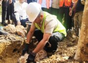 Lobi Darwin di Pusat Tuntaskan Infrastruktur Pendidikan Mubar: 27 Sekolah Direvitalisasi, 30 Masih Mengantri