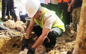 Lobi Darwin di Pusat Tuntaskan Infrastruktur Pendidikan Mubar: 27 Sekolah Direvitalisasi, 30 Masih Mengantri