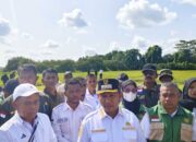 85 Hektare Sawah Kekeringan dan 44 Gagal Panen, Bupati Mubar Ambil Solusi Darurat Selamatkan 41 Hektare