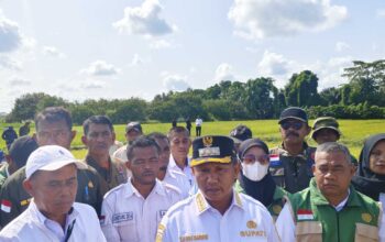 85 Hektare Sawah Kekeringan dan 44 Gagal Panen, Bupati Mubar Ambil Solusi Darurat Selamatkan 41 Hektare