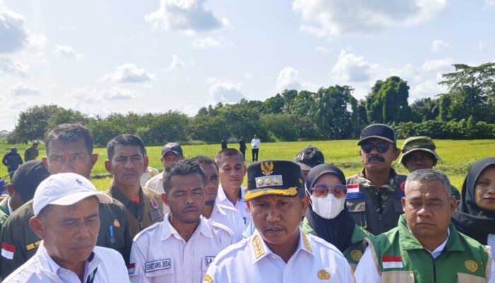 85 Hektare Sawah Kekeringan dan 44 Gagal Panen, Bupati Mubar Ambil Solusi Darurat Selamatkan 41 Hektare