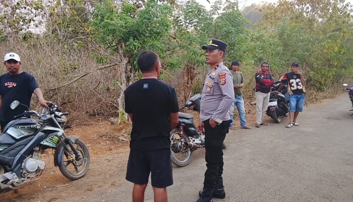 Polsek Lawa Bubarkan Praktik Judi Sambung Ayam di Desa Lagadi